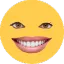 Goos