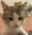 CatBruhh