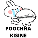 d9_poochaKisine Discord emoji