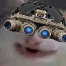 nvgsmilecat