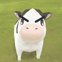 duokCow