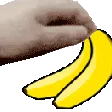 petbanana petbanana