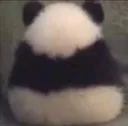 ignore