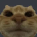 catagree