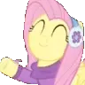 FluttershyBye