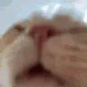 mlem