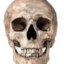 skull_ancient