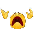 NOOOOO