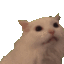 :ja: