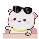 whitecat_sunglass