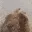 VIBE