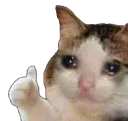 sadThumbsUp