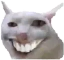 hehehhee