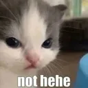 pmmcatnothehe Discord Emoji