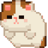 Catroll Discord Emoji
