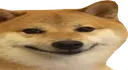 admin admin
