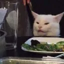 Catisnothapy Discord Emoji