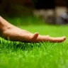 TouchGrass TouchGrass