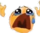 screamsadcry