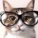 nerdcat