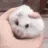 handster