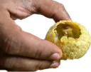 AUIPanipuriLeLo