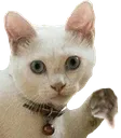 Thumbodown
