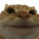 happyket