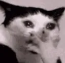 crycat