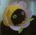 ch_jinxflower