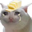 buttercat