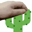 cactus_pat
