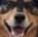 WideGeorgeHappy