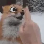 FoxBoopGIF