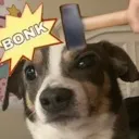 bonk bonk