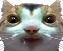 guh guh