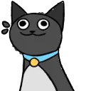 popcatlouis