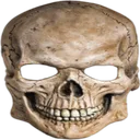 frskull frskull