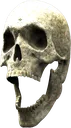 SkullPog