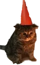 BirthdayCat Discord emoji