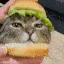 borgcat