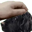 PETTHEMUPPET