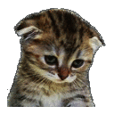 sad_cat_pack Discord emoji