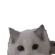 HELLOTHERE