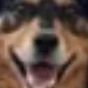 WideGeorgeHappy