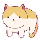 catte