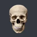 skull1