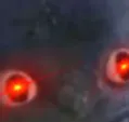 ExcuseMeButWHATTHEFUCK