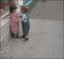 mommy_babygtfo