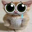 catcry